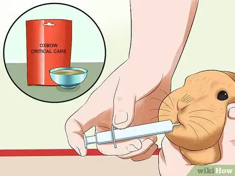 Imagem intitulada Treat Digestive Problems in Rabbits Step 11