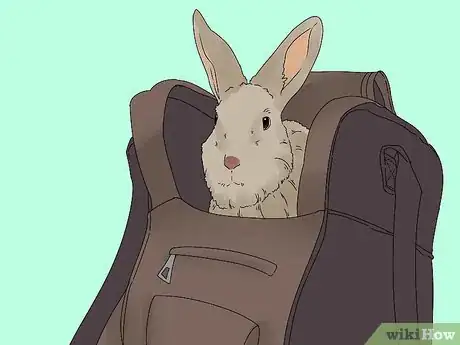 Imagem intitulada Pick up a Rabbit Step 13