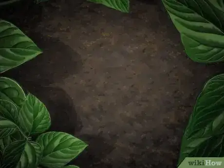 Imagem intitulada Catch Worms Step 1