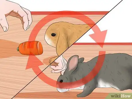 Imagem intitulada Care for a House Rabbit Step 27