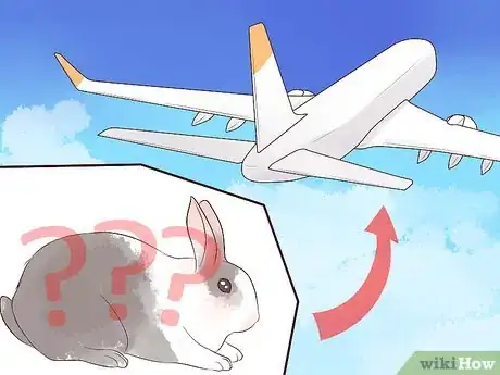 Imagem intitulada Transport a Rabbit Step 11