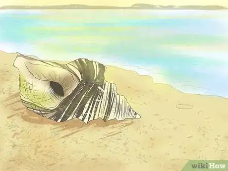 Imagem intitulada Blow a Conch Shell Step 5