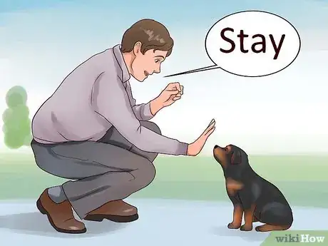Imagem intitulada Train Your Rottweiler Puppy With Simple Commands Step 12
