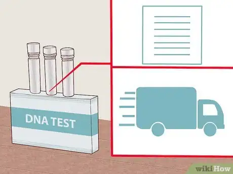 Imagem intitulada Collect DNA Step 7