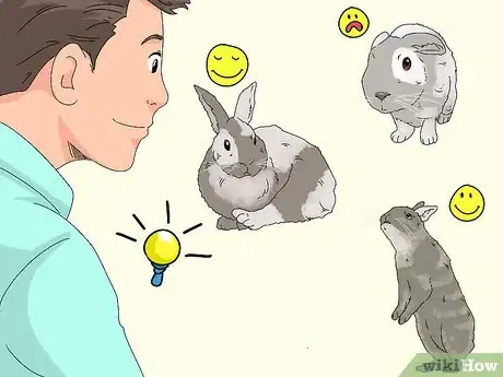 Imagem intitulada Care for a Rabbit Step 24