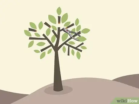 Imagem intitulada Prune a Cherry Tree Step 8
