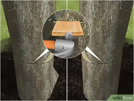 Imagem intitulada Fell a Tree Step 11