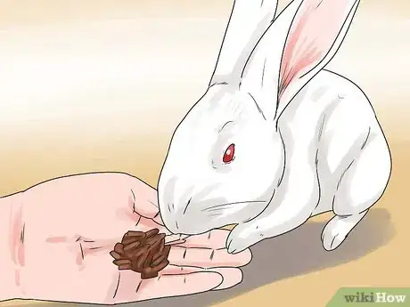 Imagem intitulada Breed Rabbits Step 14