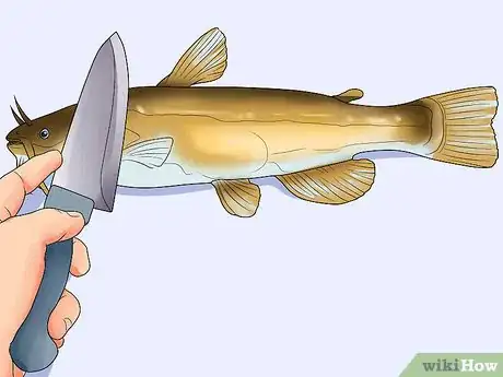 Imagem intitulada Clean a Fish Step 3