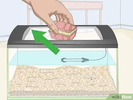 Imagem intitulada Clean Fish Tank Rocks Step 2