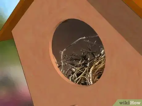 Imagem intitulada Attract Birds Step 10