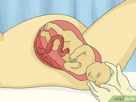 Imagem intitulada Answer Where Do Babies Come From Step 5