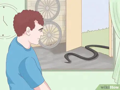 Imagem intitulada Get Rid of Snakes Step 2