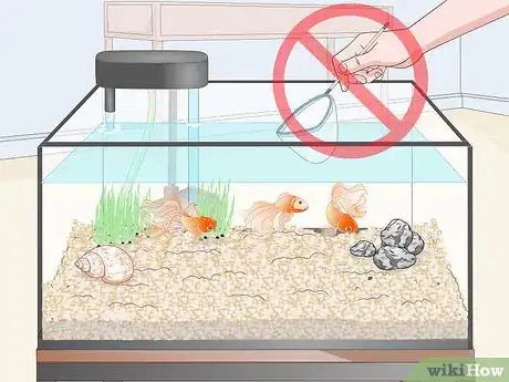 Imagem intitulada Clean Fish Tank Rocks Step 6