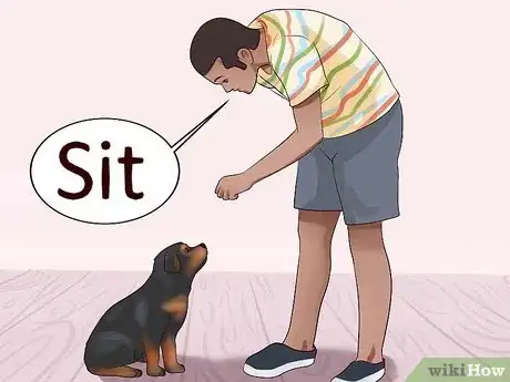 Imagem intitulada Train Your Rottweiler Puppy With Simple Commands Step 10