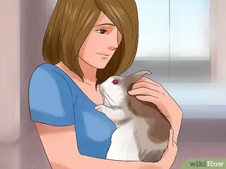 Imagem intitulada Play With Your Rabbit Step 1