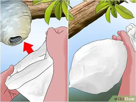 Imagem intitulada Get Rid of Wasps Step 14