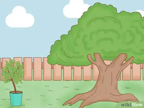 Imagem intitulada Grow a Mango Tree Step 2