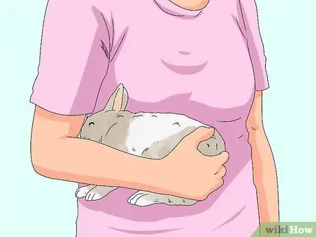 Imagem intitulada Pick up a Rabbit Step 10