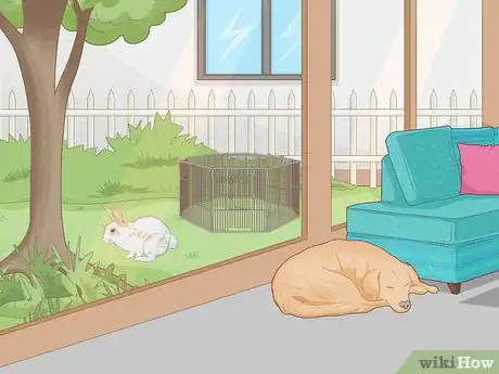 Imagem intitulada Care for an Injured Rabbit Step 14