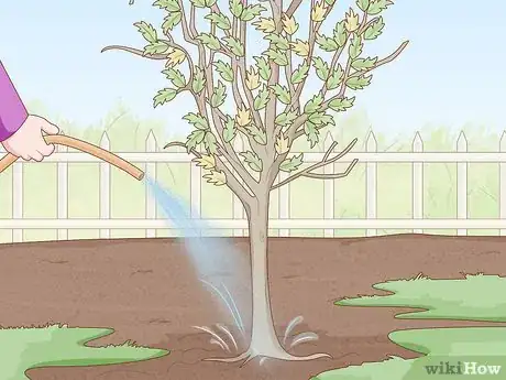Imagem intitulada Replant a Tree Step 1