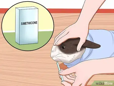 Imagem intitulada Treat Digestive Problems in Rabbits Step 13