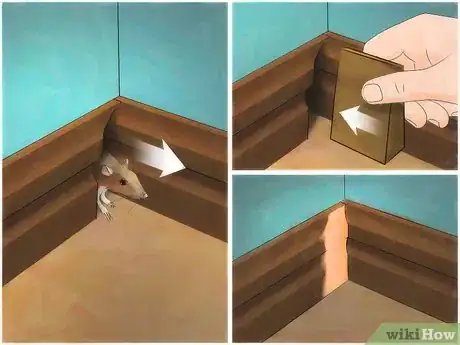 Imagem intitulada Get Rid of Mice Naturally Step 2