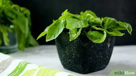 Imagem intitulada Store Fresh Basil Step 17
