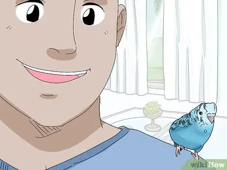 Imagem intitulada Hand Train a Parakeet Step 17