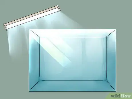 Imagem intitulada Build a Self Sustaining Ecosystem Step 2