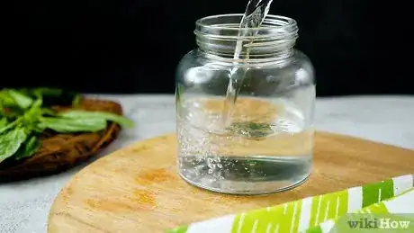 Imagem intitulada Store Fresh Basil Step 1