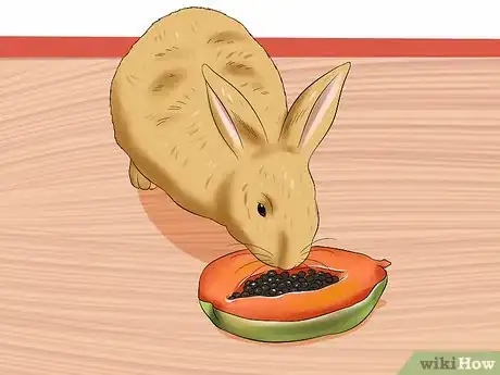 Imagem intitulada Treat Digestive Problems in Rabbits Step 14