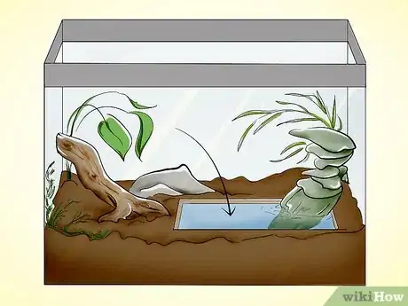 Imagem intitulada Care for a Toad Step 4