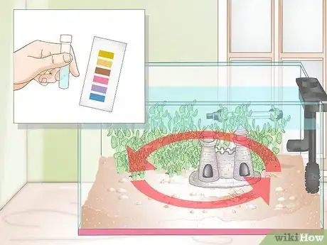 Imagem intitulada Set Up a Betta Tank Step 13