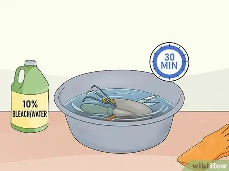 Imagem intitulada Prevent Trichoderma Step 6
