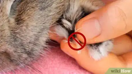 Imagem intitulada Cut a Rabbit's Claws Step 10