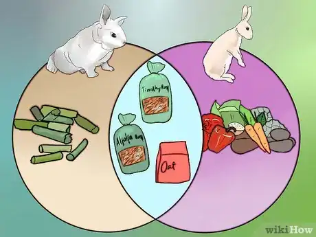 Imagem intitulada Feed Baby Rabbits Step 10