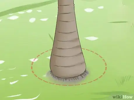 Imagem intitulada Remove a Palm Tree Step 4