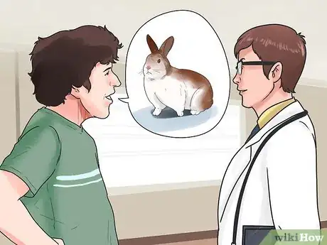 Imagem intitulada Breed Rabbits Step 13