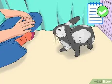 Imagem intitulada Train a Rabbit Step 7