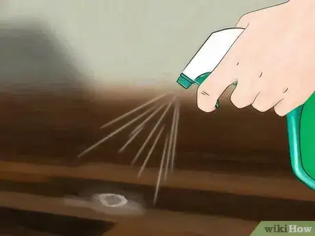 Imagem intitulada Clean Bird Droppings Step 10