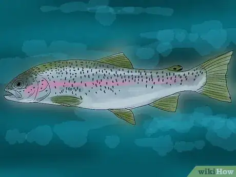 Imagem intitulada Fish Step 3Bullet3