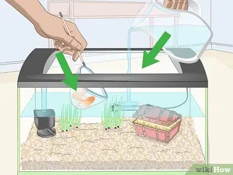 Imagem intitulada Clean Fish Tank Rocks Step 5