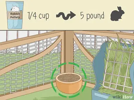 Imagem intitulada Care for Dwarf Rabbits Step 5
