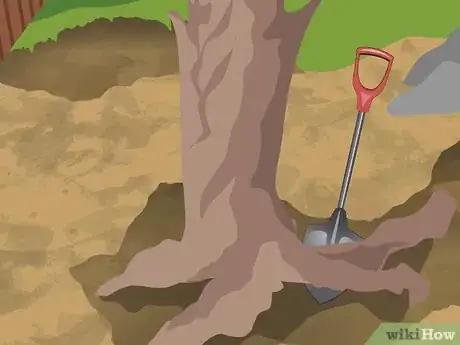 Imagem intitulada Dig up Tree Roots Step 5