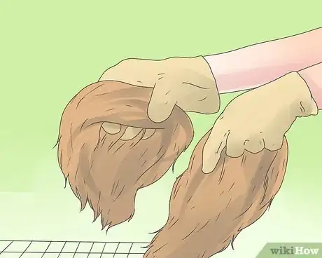 Imagem intitulada Care for Mini Lop Rabbits Step 2