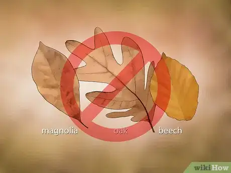 Imagem intitulada Compost Leaves Step 3