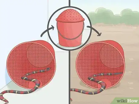 Imagem intitulada Get Rid of Snakes Step 4