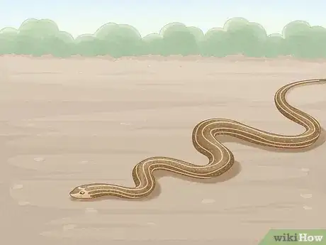 Imagem intitulada Get Rid of Snakes Step 6
