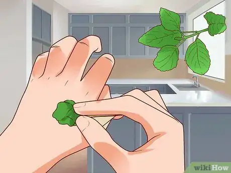Imagem intitulada Remove Warts Naturally Using Garlic Step 11